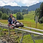公寓 Alpenblick , Hof Alpenseeblick, Nesselwangattleseeallgaeu 内森尔旺